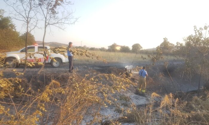 Erdek’te çıkan yangın korkuttu