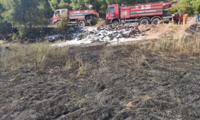 Erken müdahale yangının ormana sıçramasını önledi