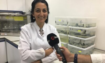 ERÜ’de yerli Covid aşısından sonra kanser ilacında da faz çalışmaları başlayacak