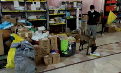 Erzincan’da 1 kilo 145 gram toz esrar ile çeşitli miktarlarda sentetik uyuşturucu ele geçirildi