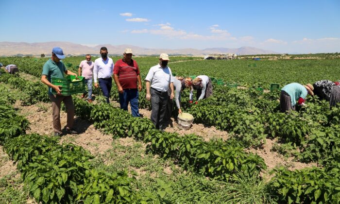 Esenlik genel müdürü Ünlü’den çiftçilere destek açıklaması