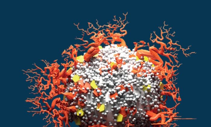 ESOGÜ öğretim üyelerinden ’Tüm Yönleriyle COVID-19’ kitabı