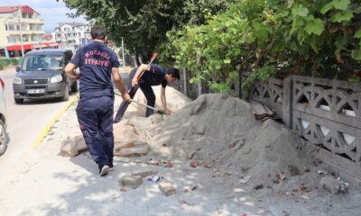 Evin bahçesine giren yılan korkuttu