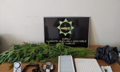 Evini kenevir serasına dönüştürmüş