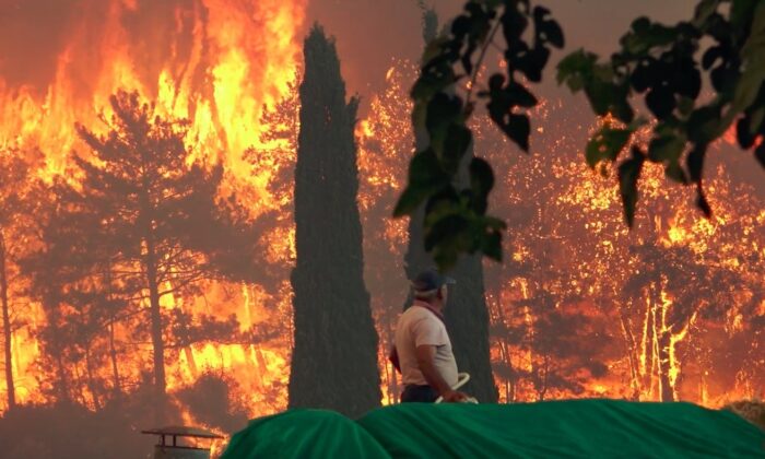 Faciadan son anda kurtuldular