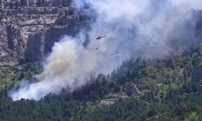 Feke’de orman yangını