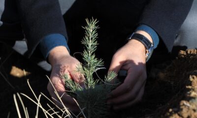 Fidan kampanyasına Bahçeşehir Kolejinden destek