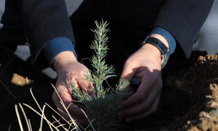 Fidan kampanyasına Bahçeşehir Kolejinden destek