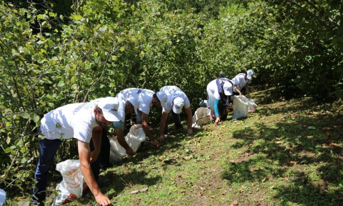 Fındık işçiliğine büyük talep