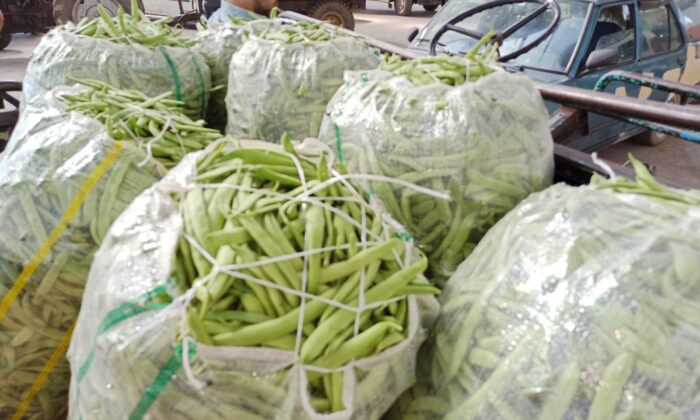 Fiyatı düşüşe geçen fasulye hem türeticisini hem komisyoncusunu üzdü