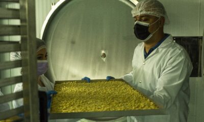 Gastronomi Şehrinin” Modern Kurutmalıkları” dünyaya ihraç ediliyor