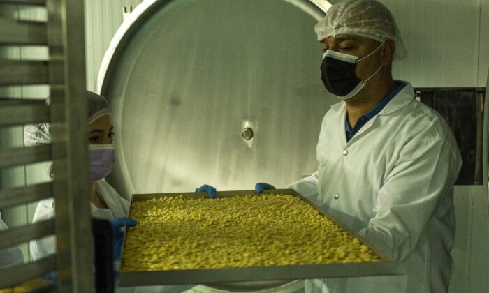 Gastronomi Şehrinin” Modern Kurutmalıkları” dünyaya ihraç ediliyor