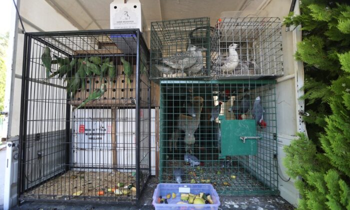 Gaziantep Hayvanat Bahçesi yeni misafirlerini ağırlamaya başladı