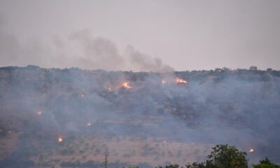 Gaziantep’te çıkan orman yangını kontrol altına alındı