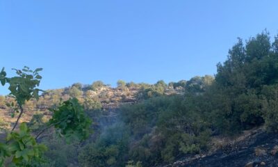Gaziantep’te orman yangını korkuttu
