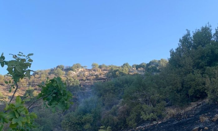 Gaziantep’te orman yangını korkuttu