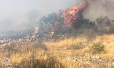 Gaziantep’te orman yangını