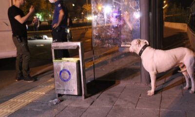 Gaziantep’te sokak ortasında kanlı infaz: 1 ölü