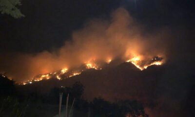 Gazipaşa’da 3 farklı noktada orman yangını