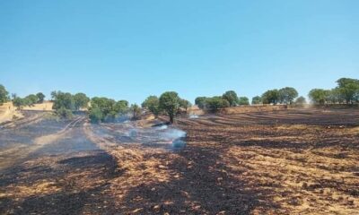 Gediz’de arazi yangını