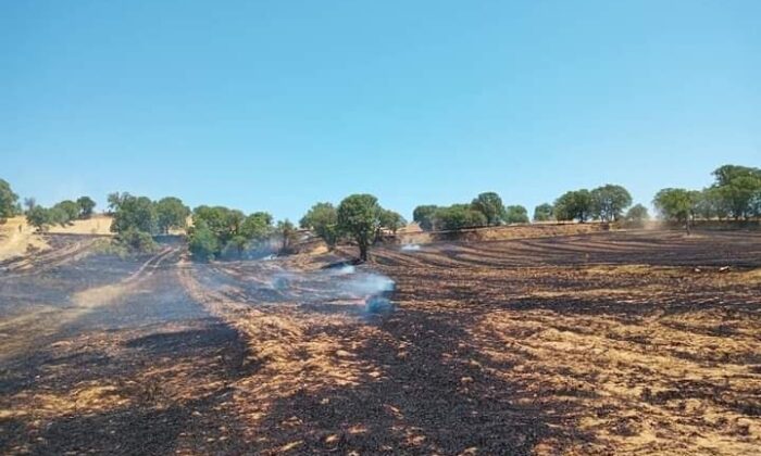 Gediz’de arazi yangını