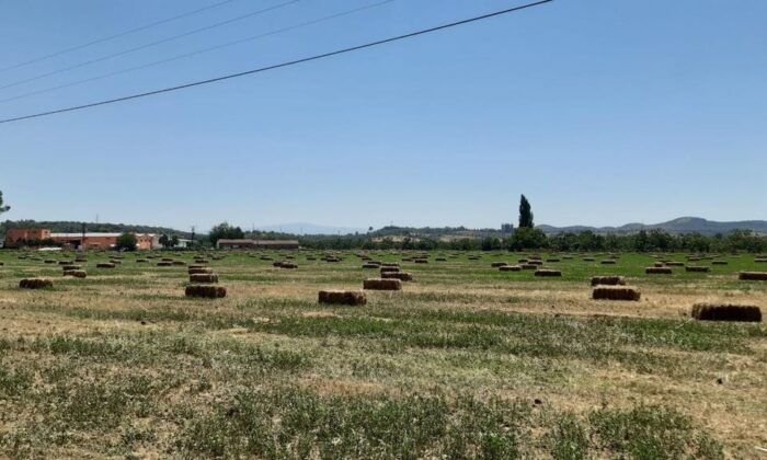 Germencik, kırsal kalkınma hamlesini sürdürüyor