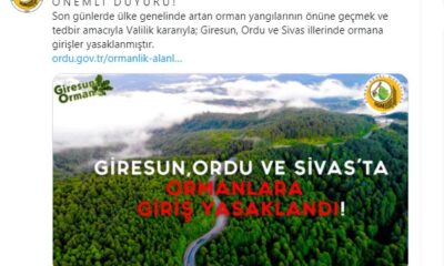 Giresun, Ordu ve Sivas illerinde ormana girmek yasaklandı