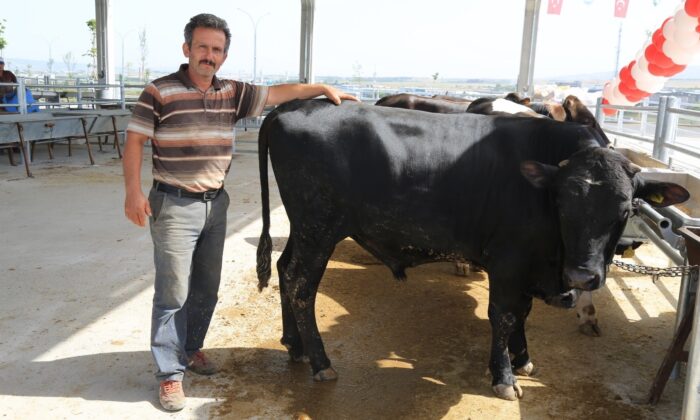 Gölbaşı kurban satış ve kesim yerine kurbanlıklar gelmeye başladı