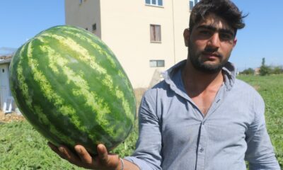 Görüntüsü göz kamaştırıyor, lezzeti damakları tatlandırıyor