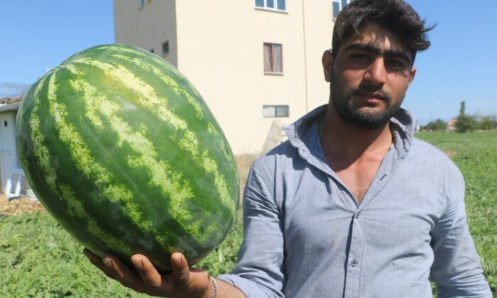 Görüntüsü göz kamaştırıyor, lezzeti damakları tatlandırıyor