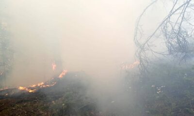 Gümüşhane’de orman içi örtü yangını korkuttu