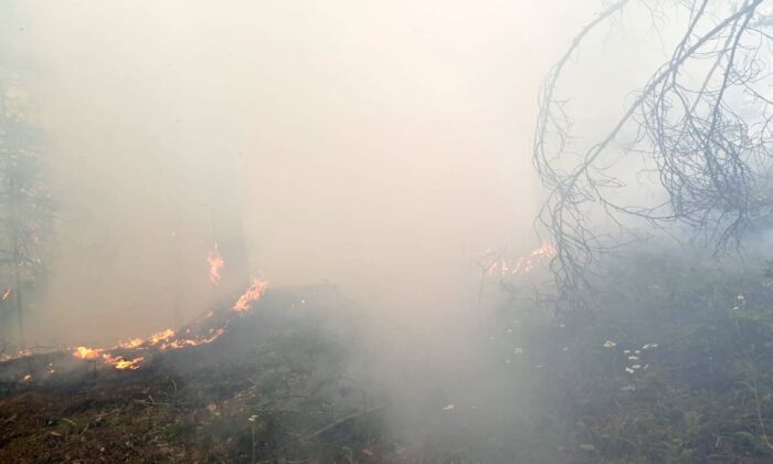 Gümüşhane’de orman içi örtü yangını korkuttu