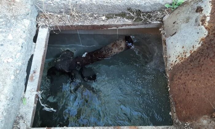 Günpınar Mahallesinde su sorunu