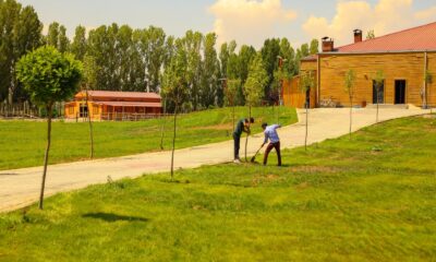 Gürpınar Belediyesinin ağaç seferberliği devam ediyor