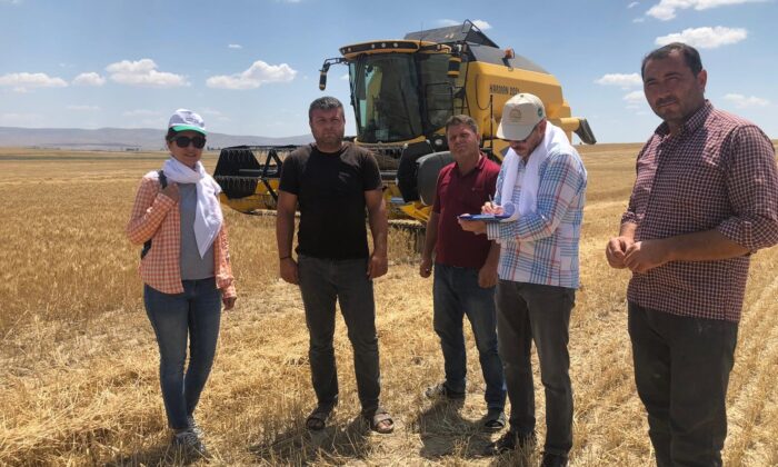 Hasatta dane kayıpları en aza indirilmek için çabalıyorlar