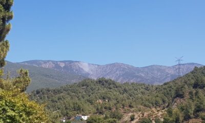 Hatay Kisecik yangını kontrol altına alındı