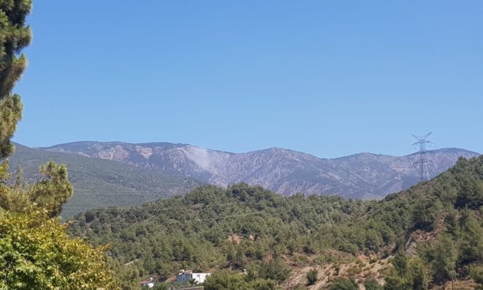 Hatay Kisecik yangını kontrol altına alındı