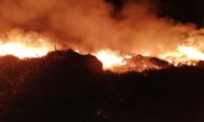 Hatay’da bahçe yangını korkuttu