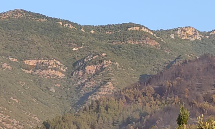 Hatay’da çıkan orman yangını kontrol altına alındı