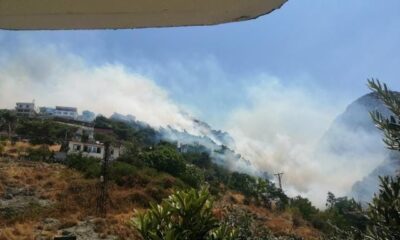 Hatay’da orman yangını: Alevler evlere sıçradı