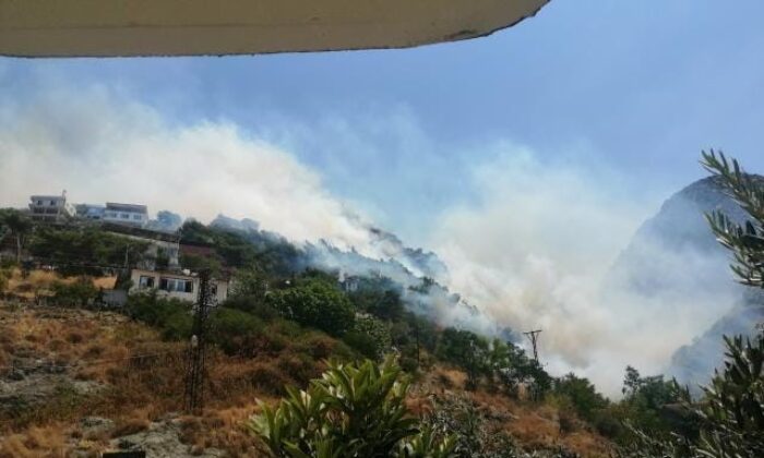 Hatay’da orman yangını: Alevler evlere sıçradı