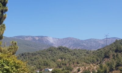 Hatay’da orman yangını