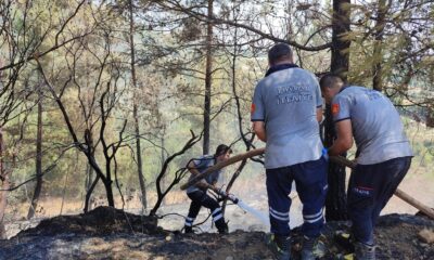 Hatay’da ormanlık alanın yakınında çıkan bahçe yangını kontrol altına alındı
