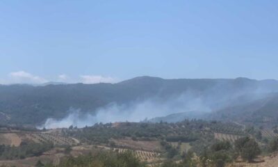 Hatay’da ormanlık alanın yakınında yeniden yangın çıktı
