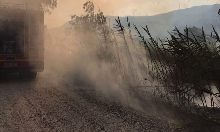 Hatay’da sazlık alandaki yangın kontrol altına alındı