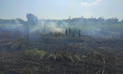 Hatay’da sazlık yangını kontrol altına alındı