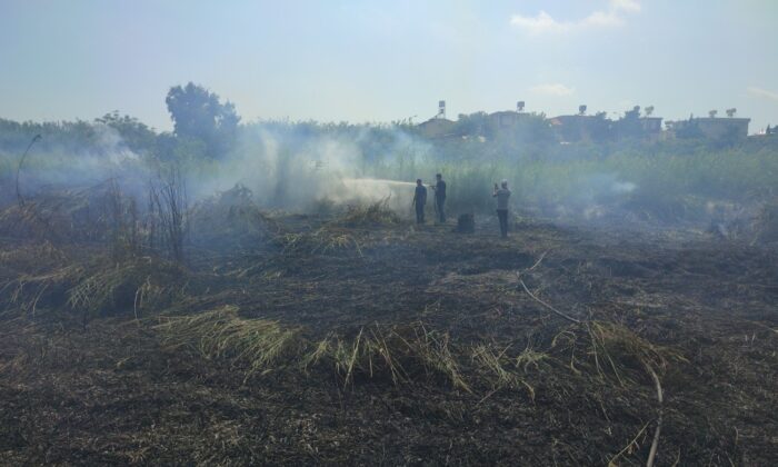 Hatay’da sazlık yangını kontrol altına alındı