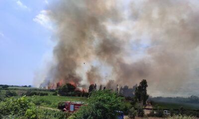Hatay’da sazlık yangını