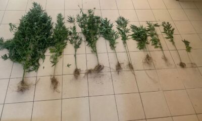 Hatay’da uyuşturucu operasyonu