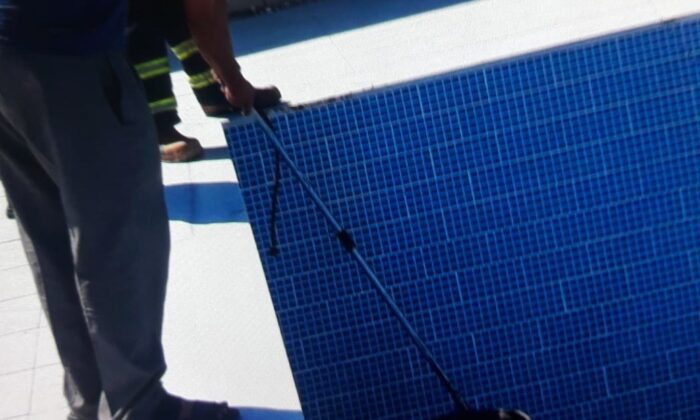 Havuza düşen köpeği itfaiye ekipleri kurtardı